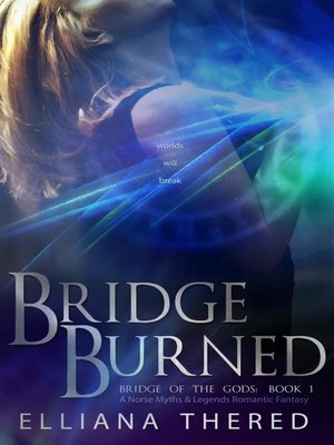 cover image of Bridge Burned